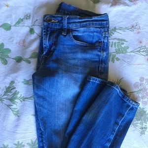 Lucky Sweet and Straight Jeans